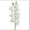 24" Dendrobium Orchid Spray Realistic Faux Stem for Bouquets, Centerpieces & Home Decor